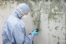 Best Attic Mold Removal in Bannockburn, IL